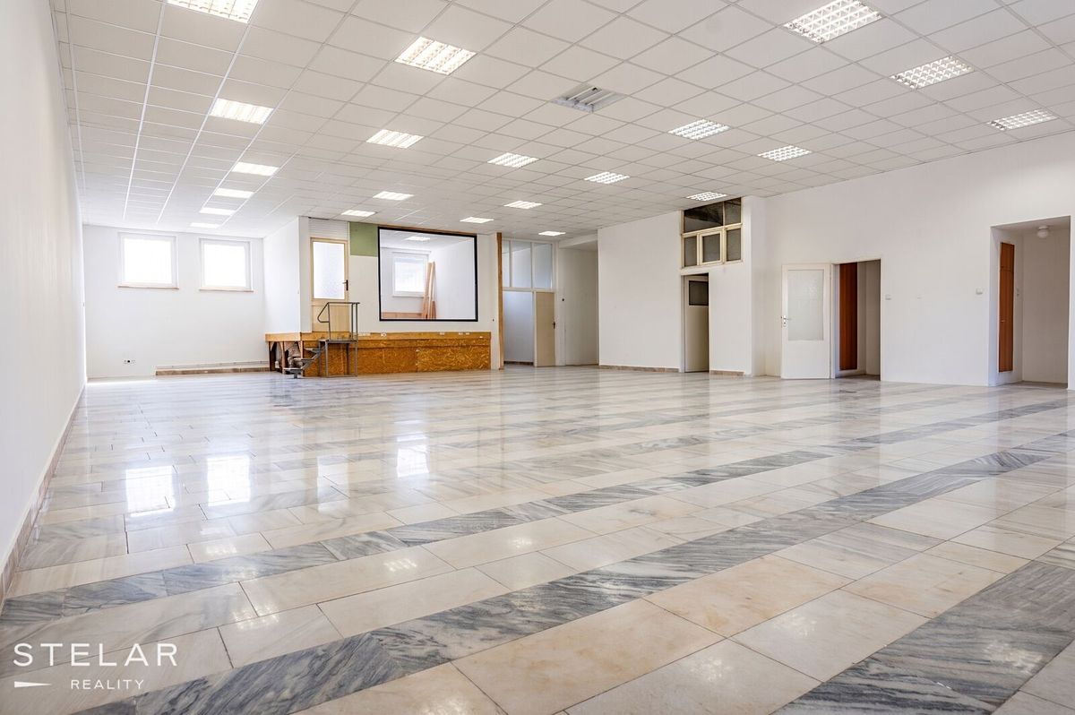 Prodej obchodního prostoru 230 m² – fotografie 3