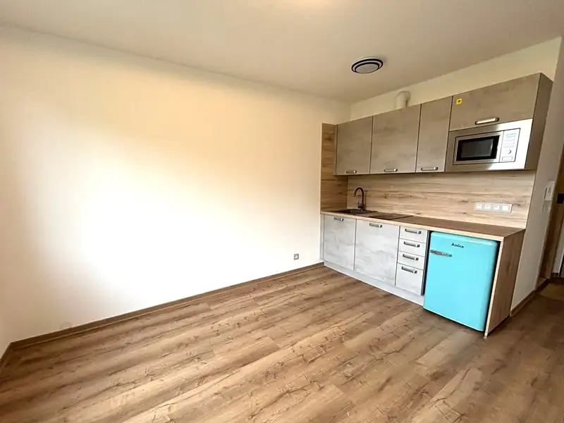 Pronájem bytu 1+kk 20 m², Dolní Bělá – náhled fotky 3