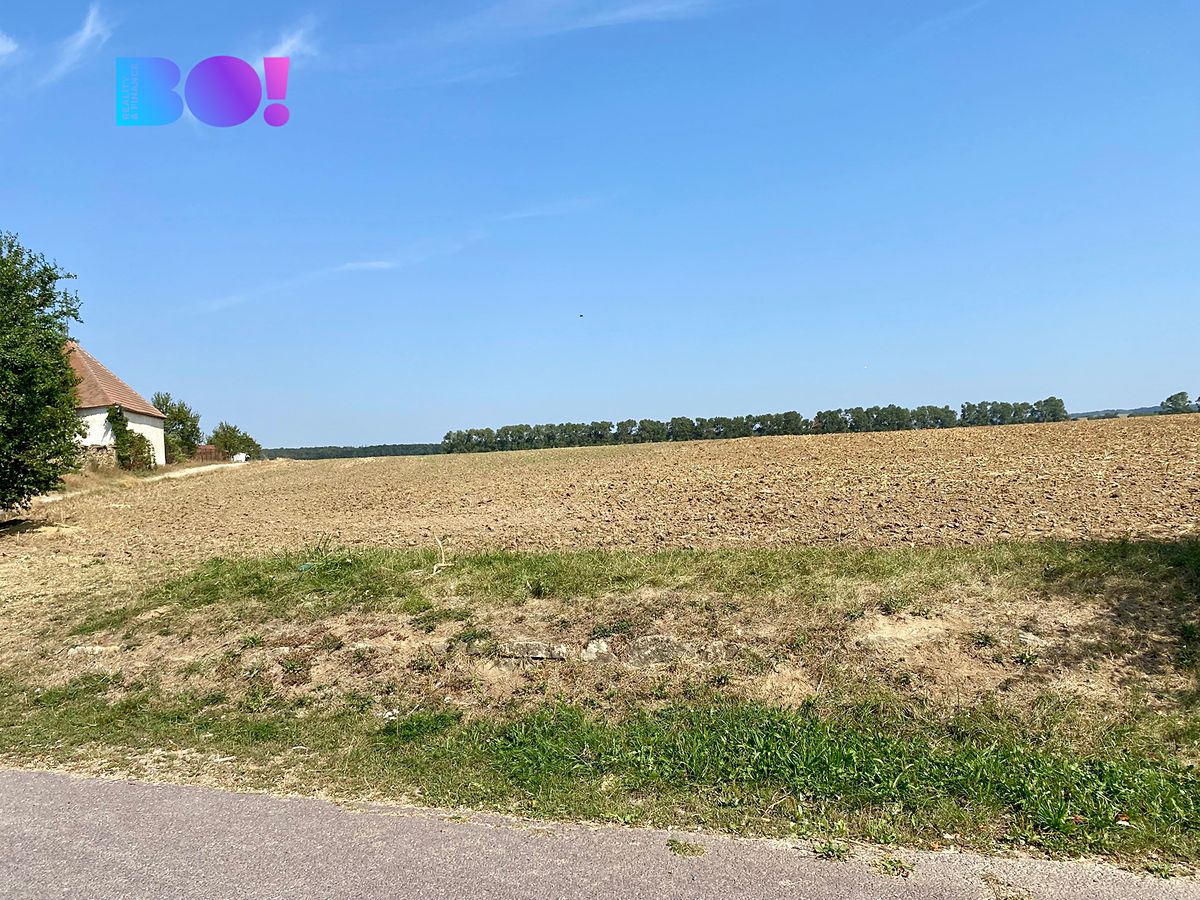 Prodej stavebního pozemku 1900 m² – fotografie 2