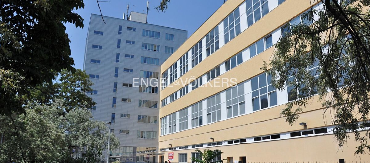 Pronájem kanceláře 300 m²