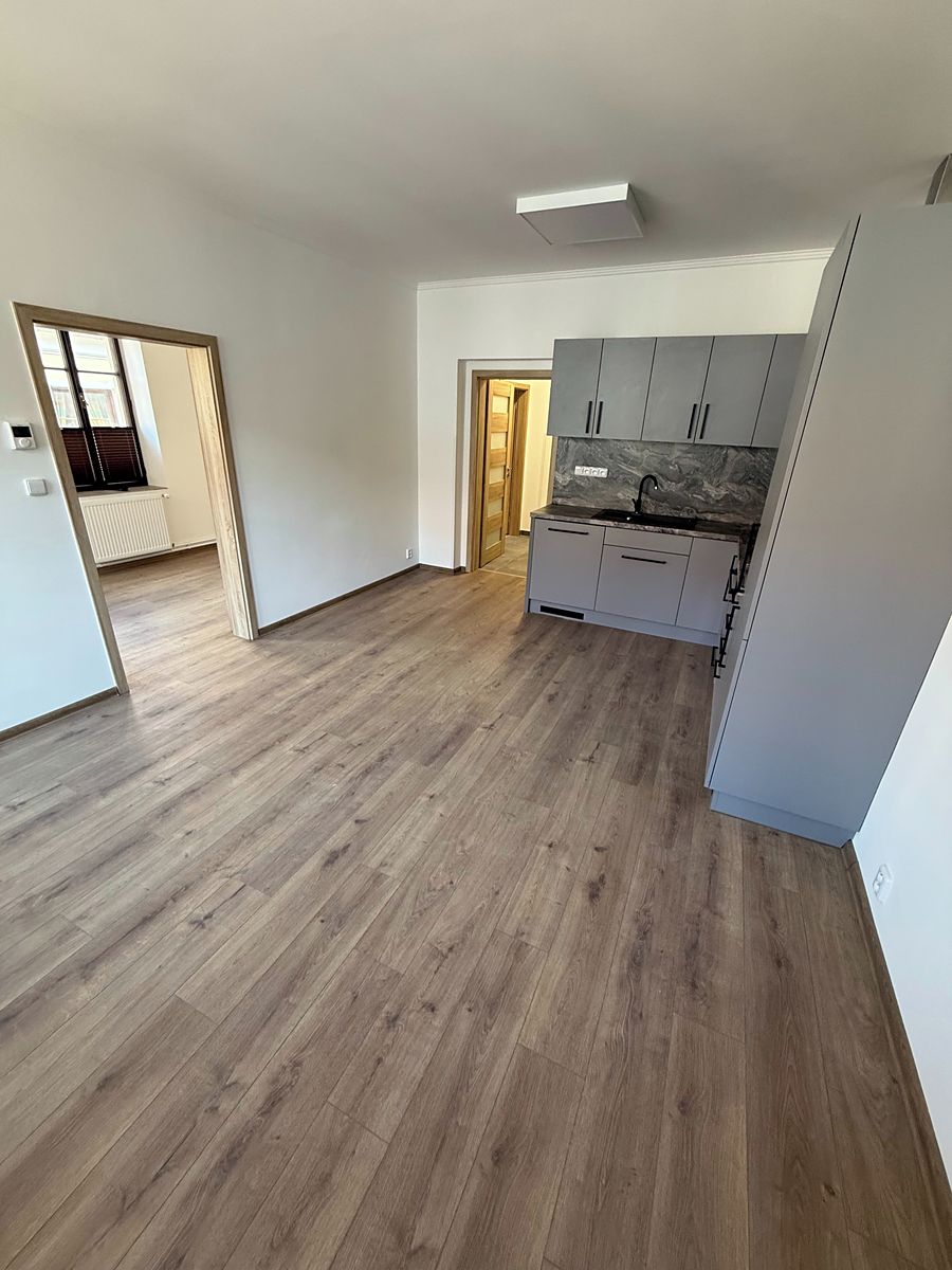 Pronájem bytu 3+kk 58 m² – fotografie 3