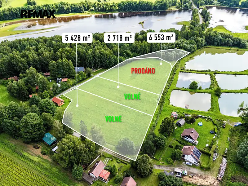 Prodej pozemku 9752 m², Nová Pec – náhled fotky 3