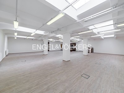Pronájem komerčního prostoru, 333 m² (3 z 15)