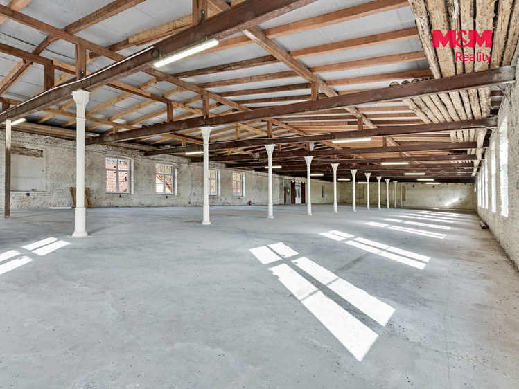 Pronájem komerčního prostoru, 884 m² (6 z 14)