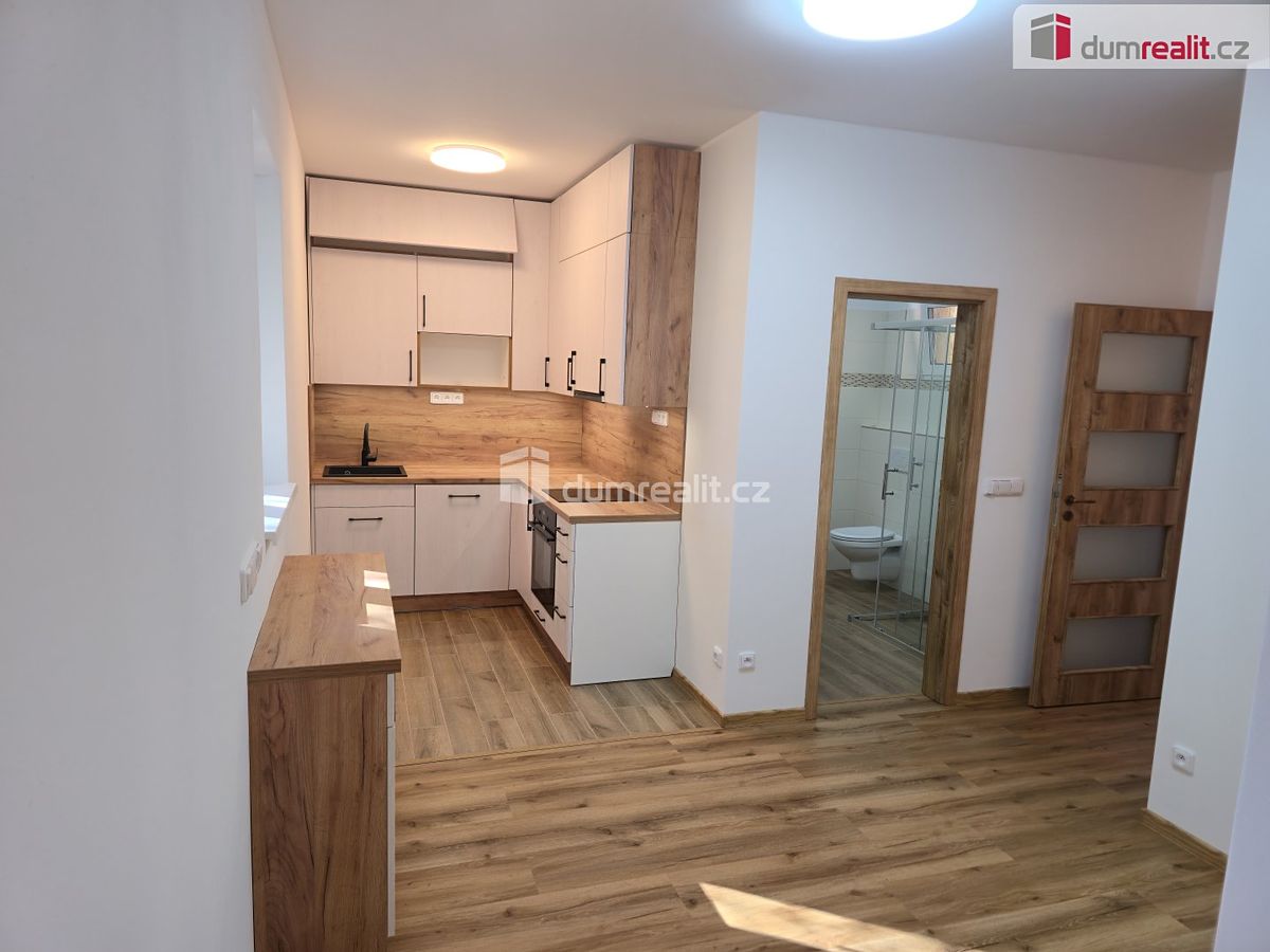 Pronájem bytu 4+kk 75 m² – fotografie 2