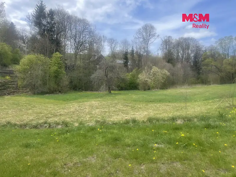 Prodej louky 3984 m², Zlatá Olešnice – náhled fotky 2