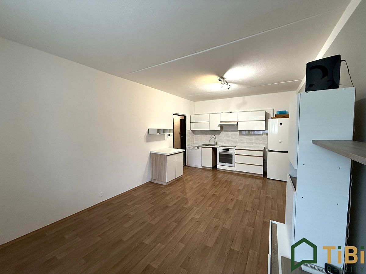 Pronájem bytu 3+kk 60 m² – fotografie 3