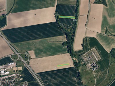 Prodej  pole 11 441 m²