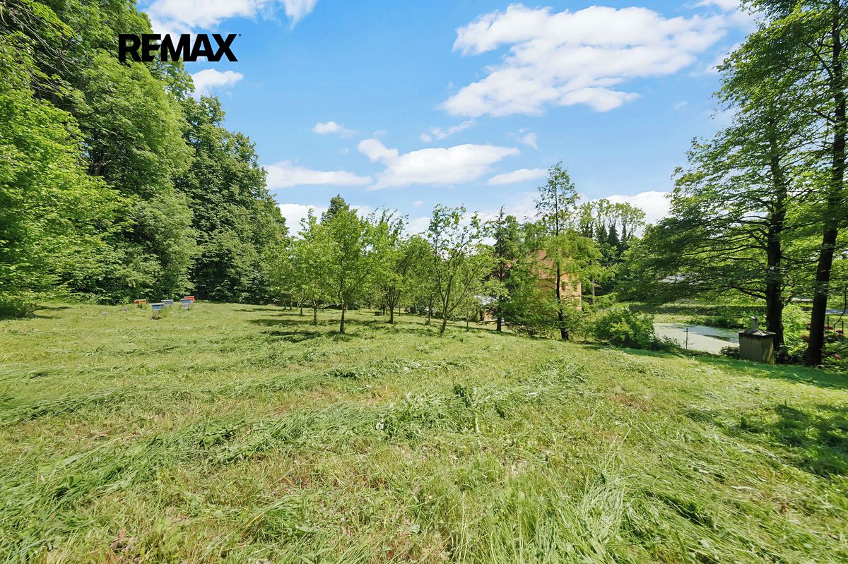Prodej chaty 300 m², pozemek 3850 m² – fotografie 5