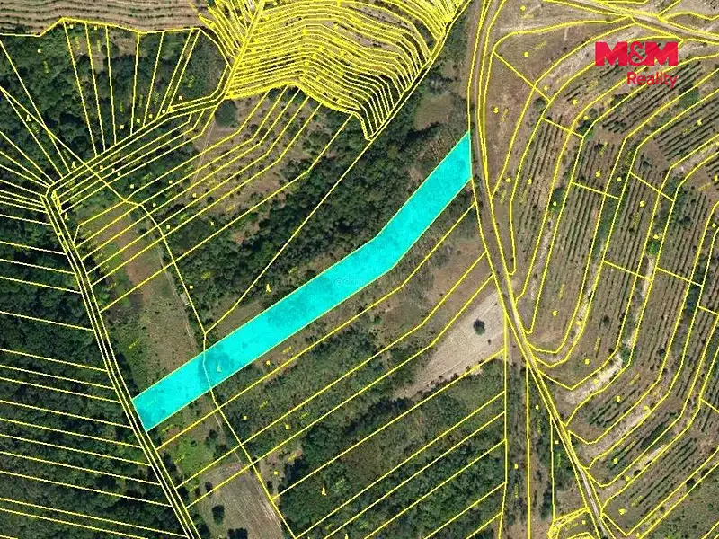 Prodej lesa 3415 m², Hustopeče – náhled fotky 3