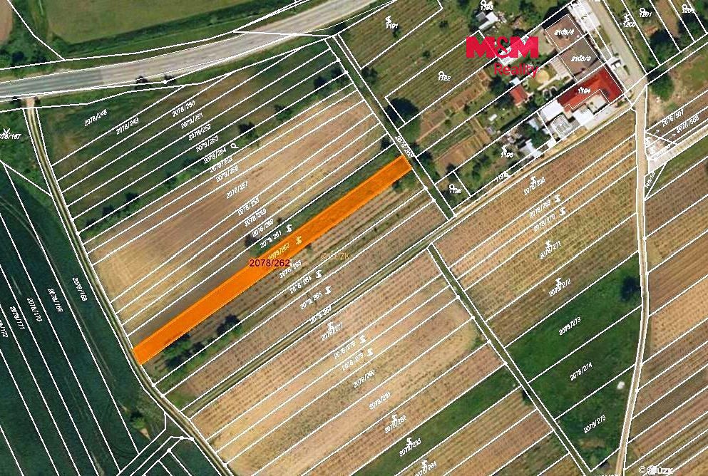 Prodej sadu, vinice 720 m², Hrušky – fotka 1 z 3