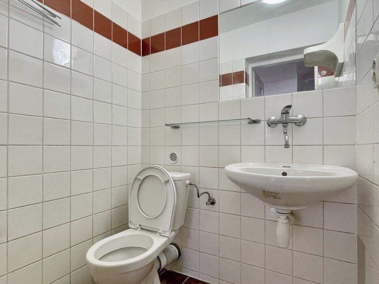 Wohnung 1+kk zur Miete, 32 m² (3 von 9)