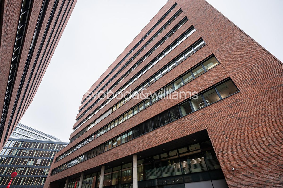 Pronájem kanceláře 568 m² – fotografie 3