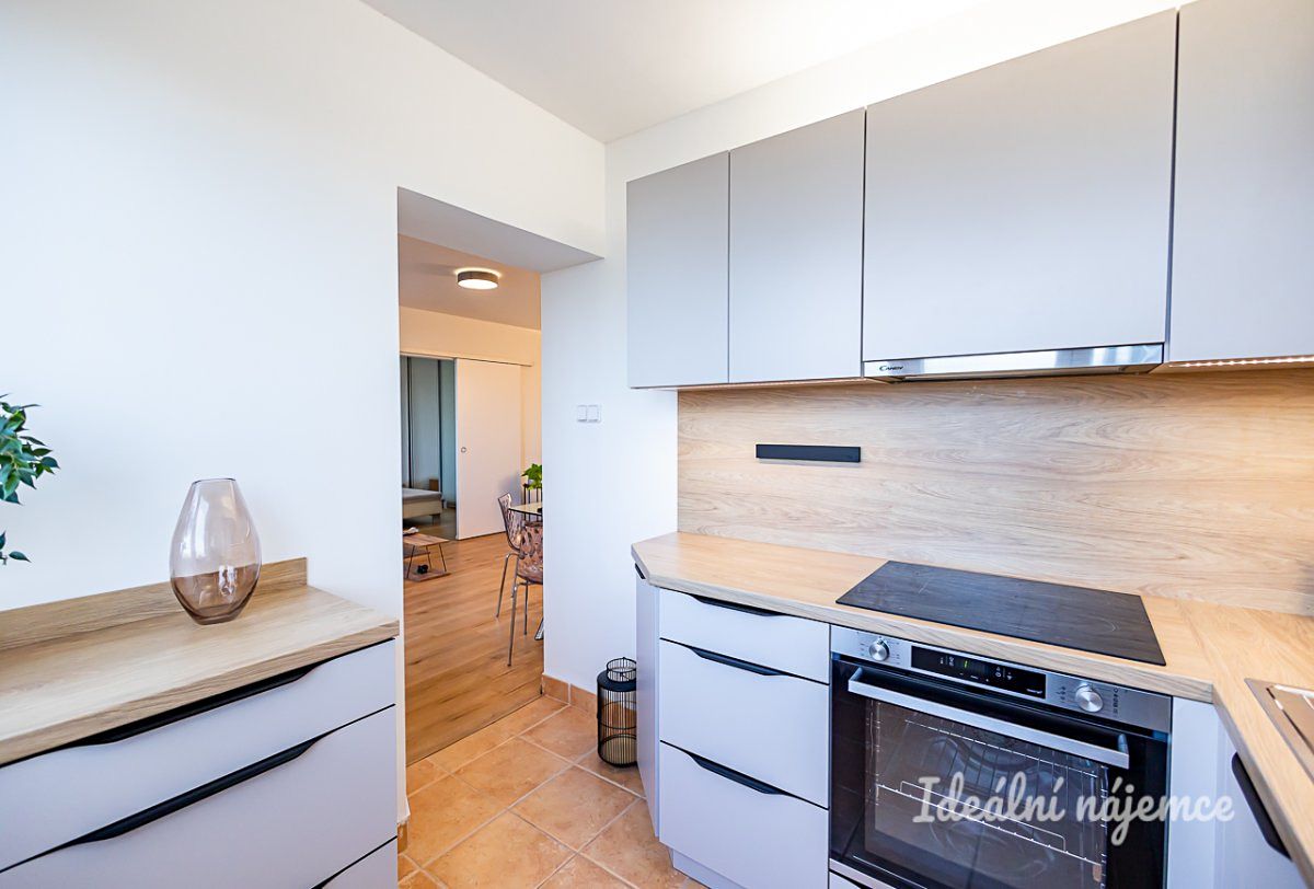 Pronájem bytu 2+1 49 m² – fotografie 5