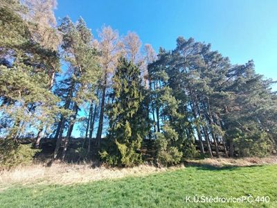 Prodej lesa 1351 m²