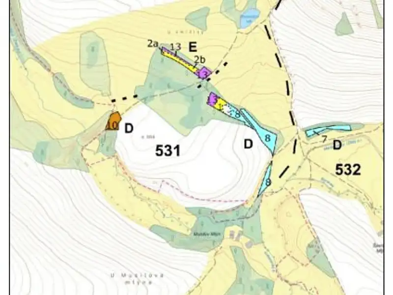 Prodej lesa 1259 m², Čáslavsko – náhled fotky 3
