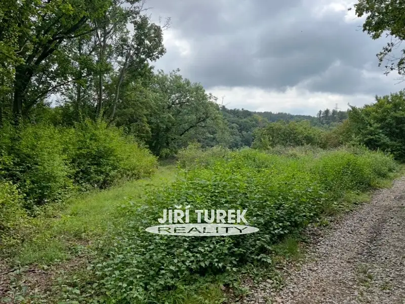 Prodej specifického typu nemovitosti 21 m², Choteč – náhled fotky 2