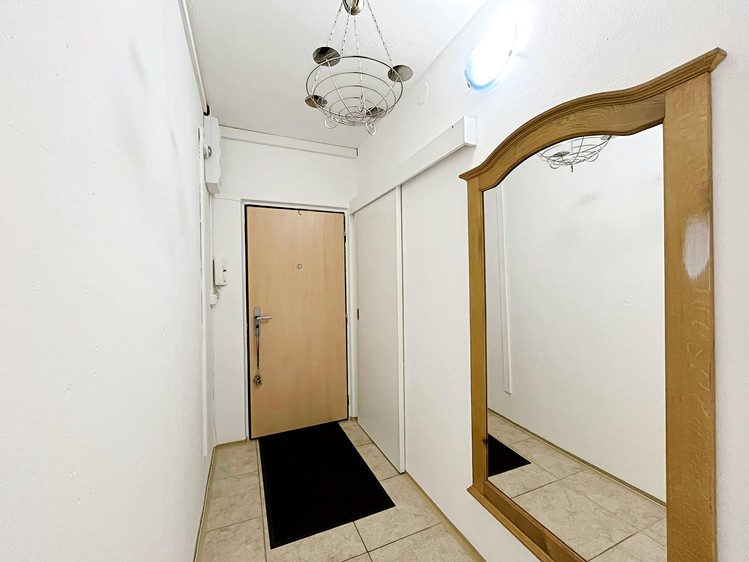 Pronájem bytu 2+1, 55 m² (14 z 20)