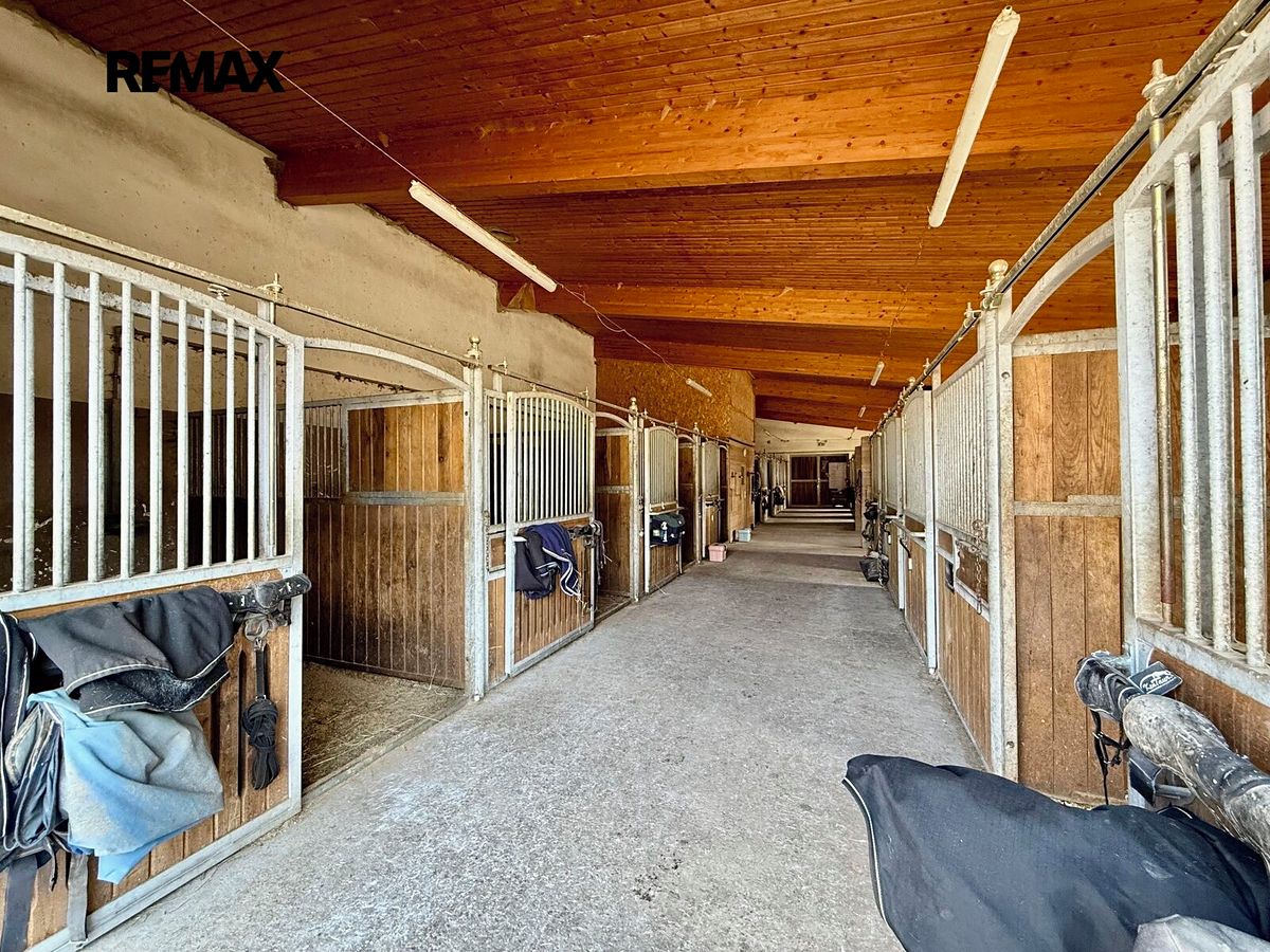 Prodej zemědělského objektu 164000 m² – fotografie 3