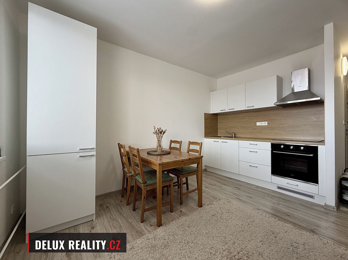 Pronájem bytu 1+1 34 m²
