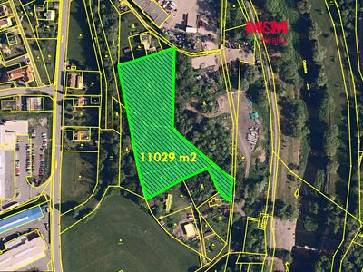 Prodej lesa 11029 m²