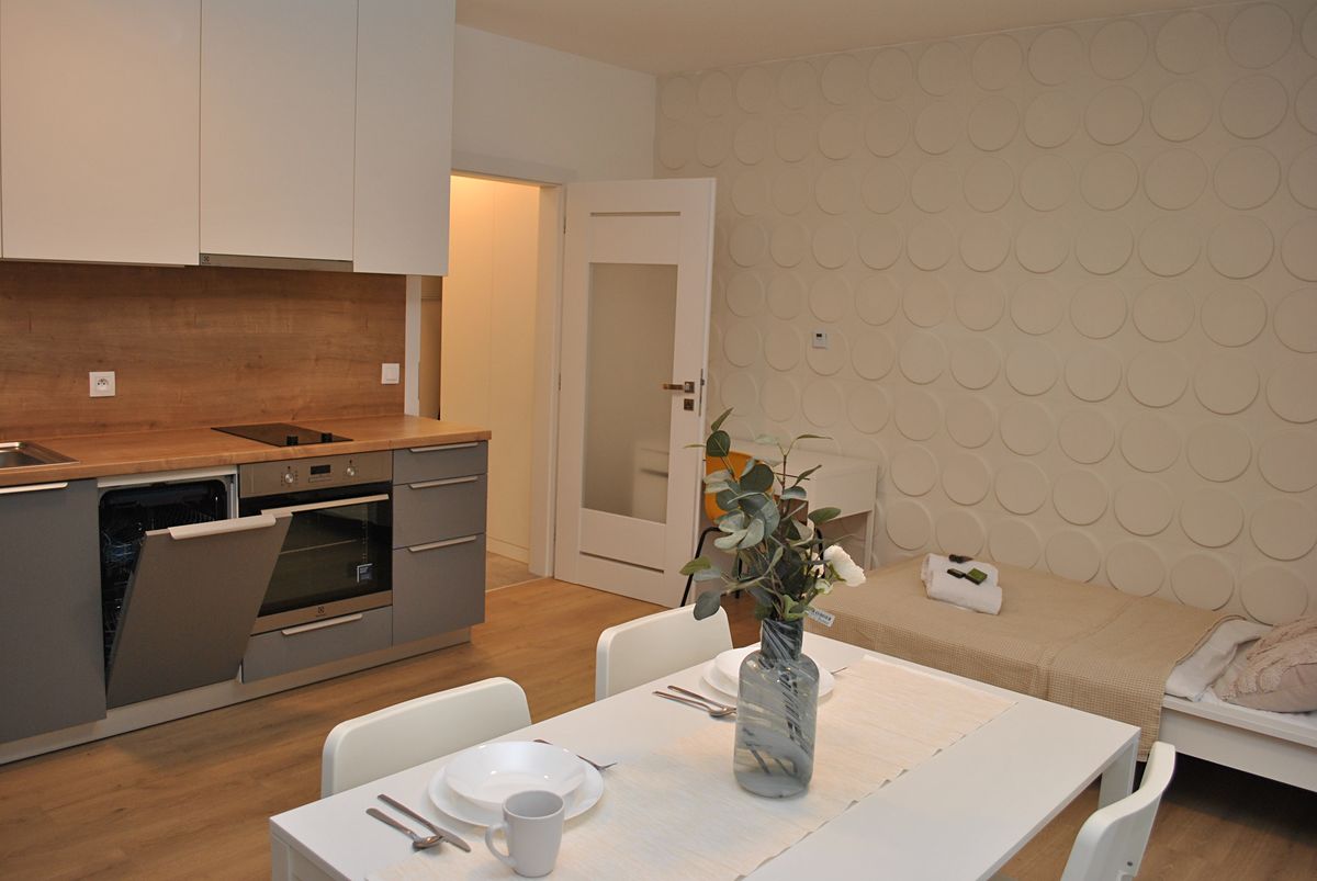Pronájem bytu 1+kk 28 m² – fotografie 4