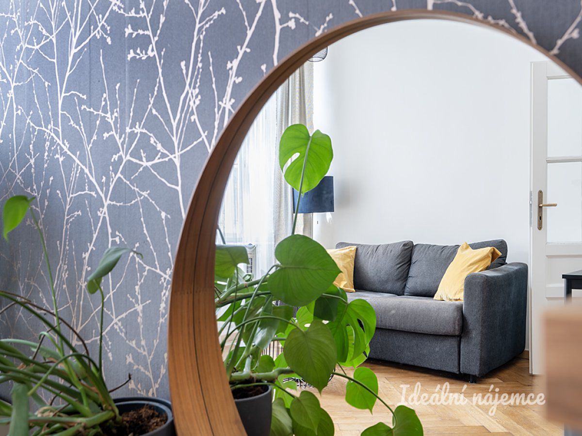 Pronájem bytu 2+kk 33 m² – fotografie 5