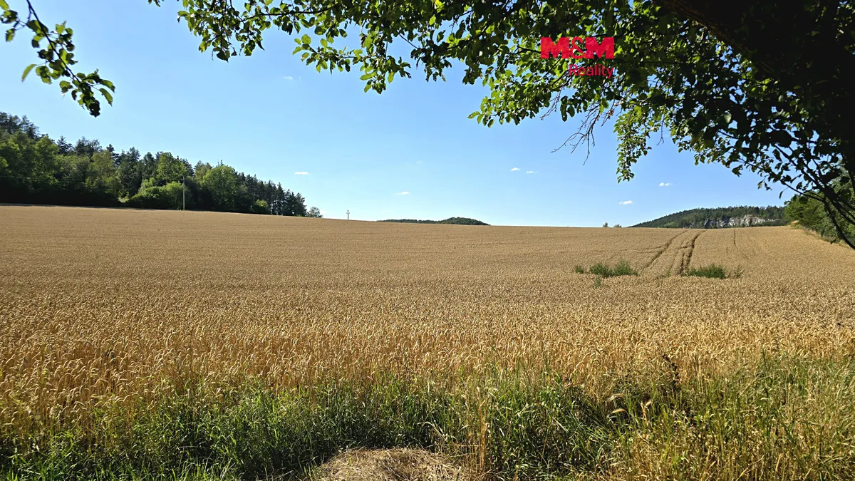 Prodej pole 15359 m²