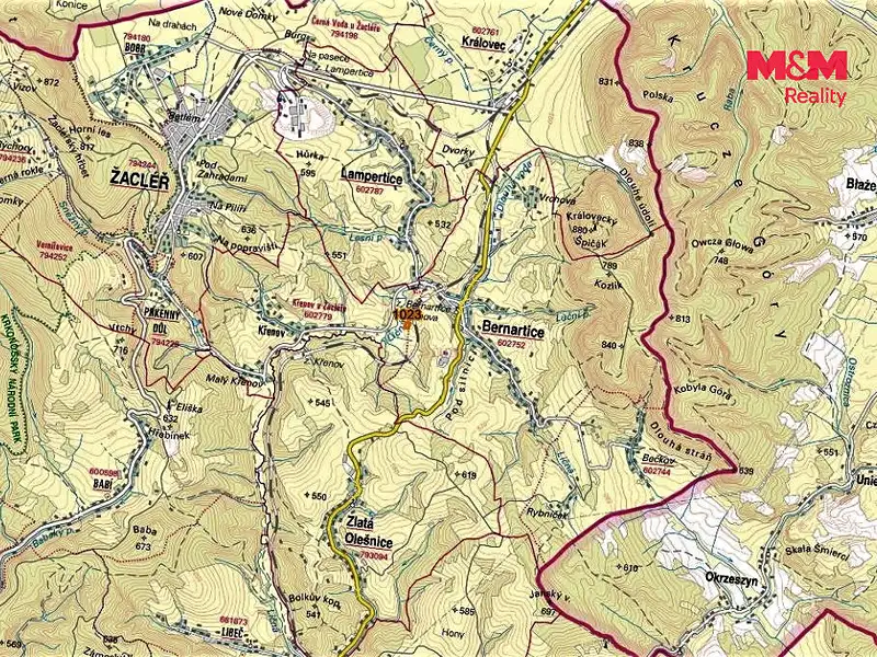 Prodej pole 4370 m², Bernartice – náhled fotky 2