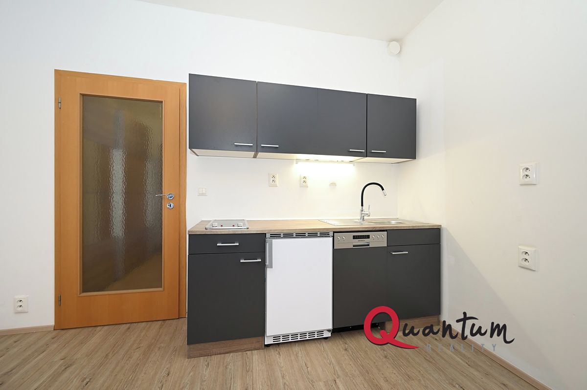 Pronájem bytu 1+kk 30 m²