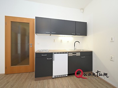 Pronájem bytu 1+kk 30 m²