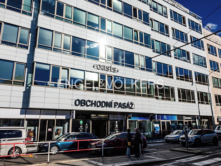 Pronájem komerčního prostoru, 311 m² (1 z 7)