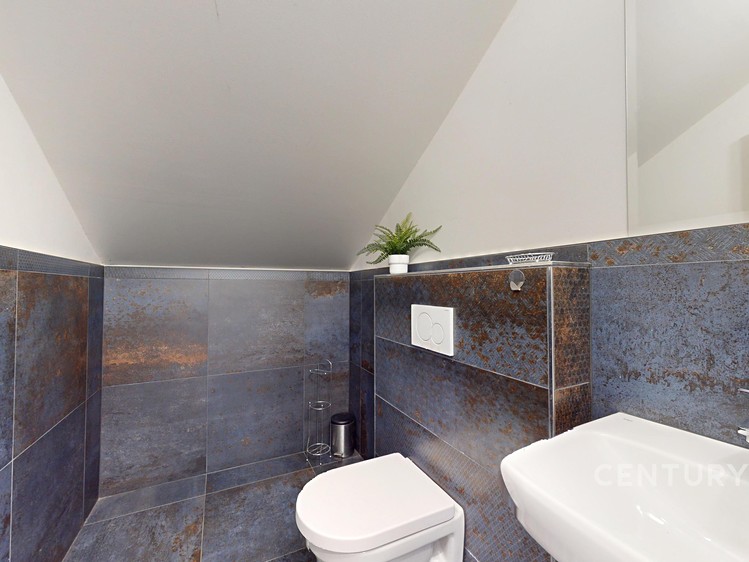 Prodej domu, 319 m² (73 z 73)