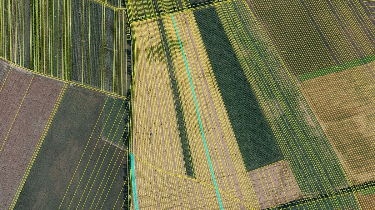 Prodej pole 10488 m² – fotografie 3