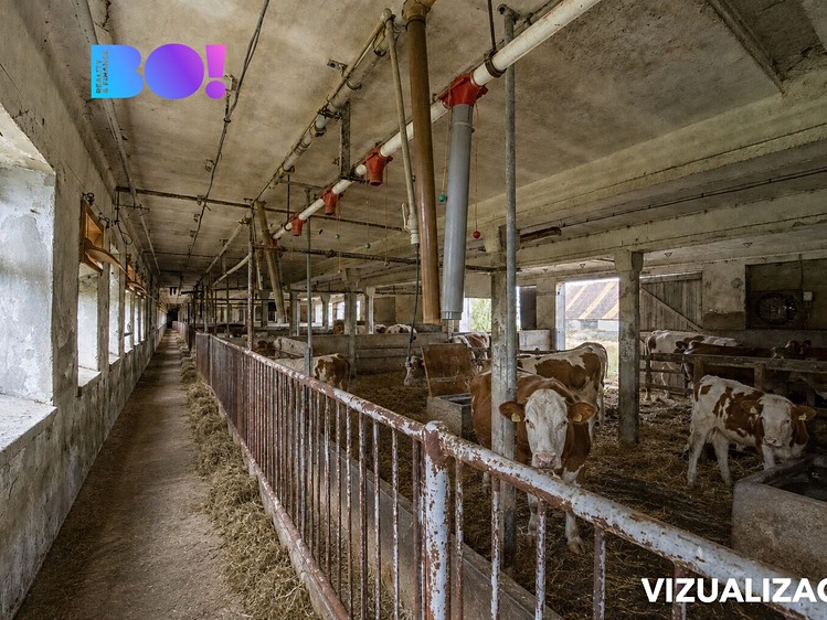 Комерційне приміщення на продаж, 5 810 м² (19 з 22)