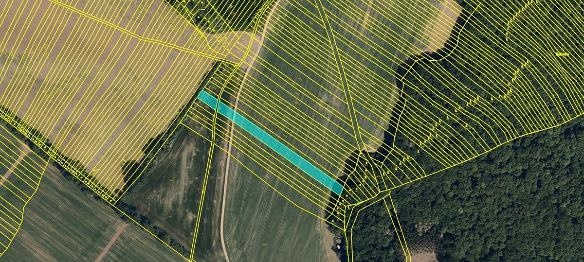 Prodej pole 6900 m² – fotografie 2