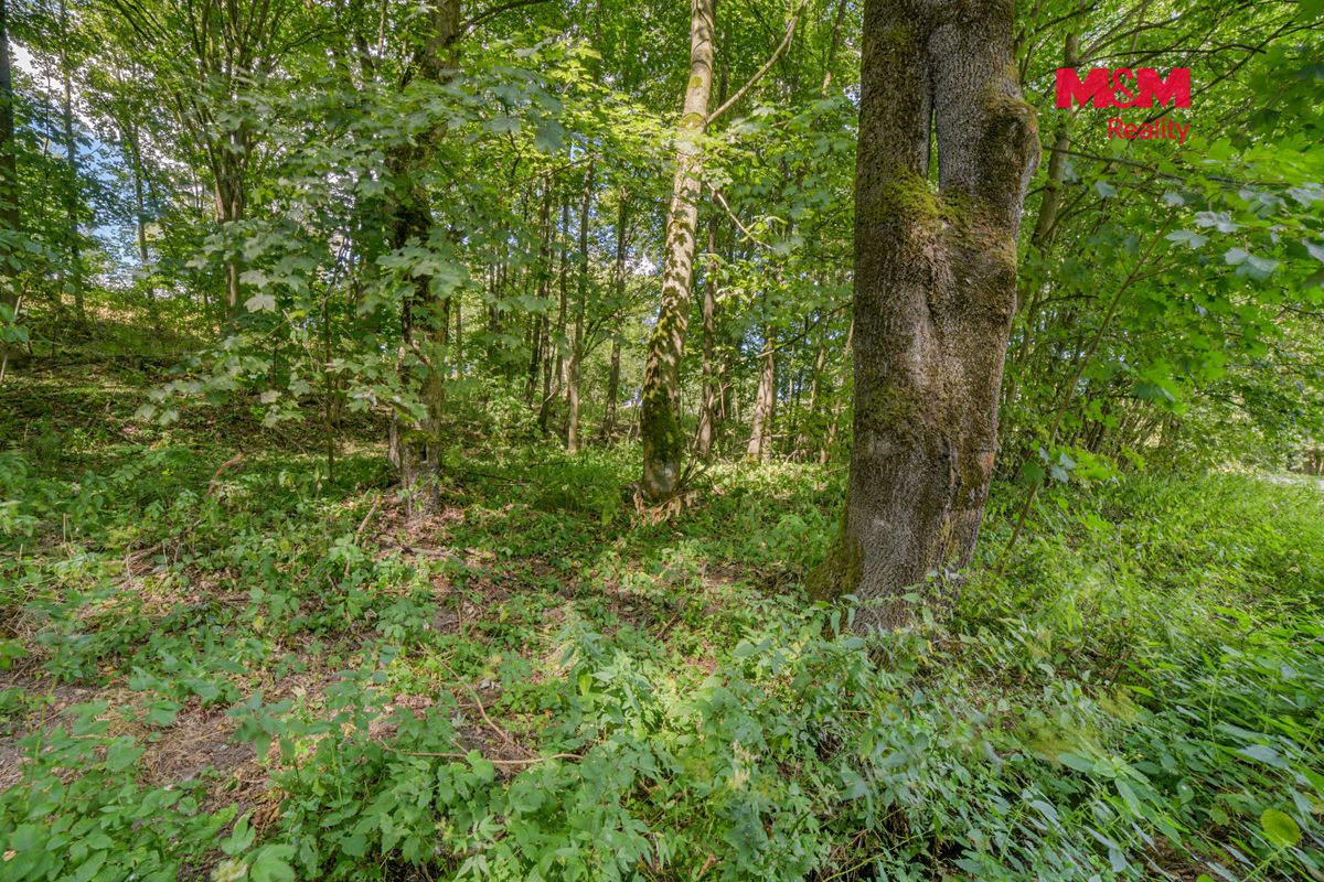 Prodej stavebního pozemku 1858 m² – fotografie 3