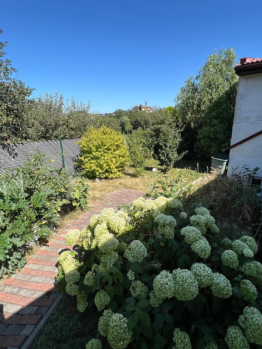 Prodej rodinného domu 134 m², pozemek 247 m² – fotografie 5