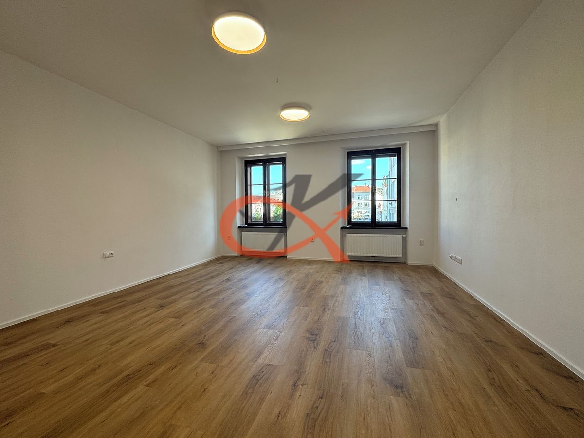 Pronájem bytu 1+1 64 m² – fotografie 4