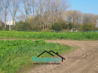 Prodej pole 710 m²