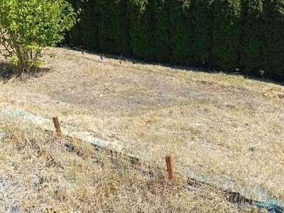 Immobilie zum Kauf, 17 m² (3 von 6)