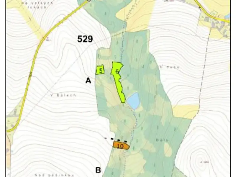 Prodej lesa 1183 m², Lukavec – náhled fotky 3