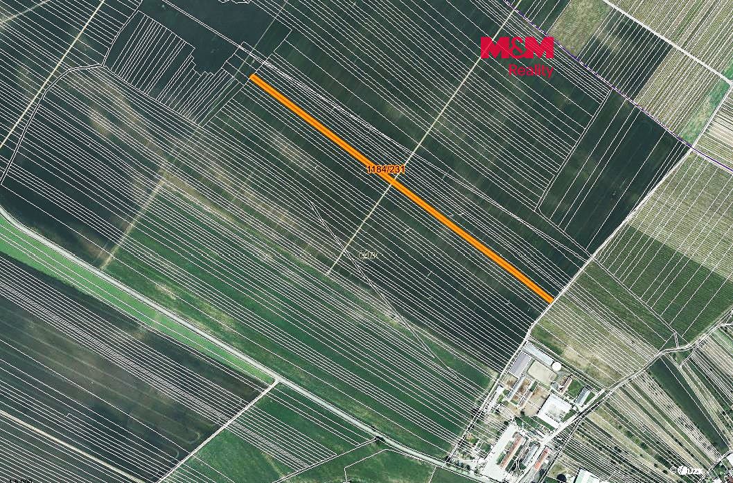 Prodej pole 786 m²