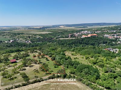 Prodej sadu, vinice 2107 m²