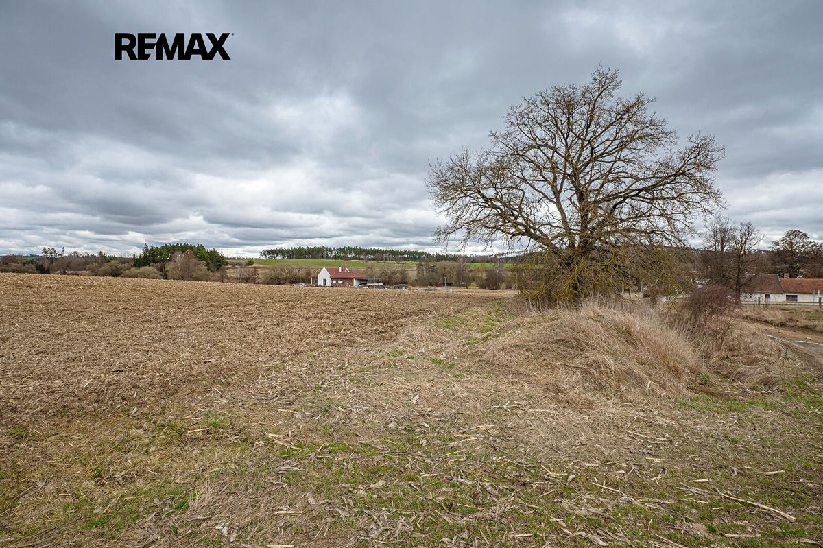 Prodej stavebního pozemku 1542 m² – fotografie 3