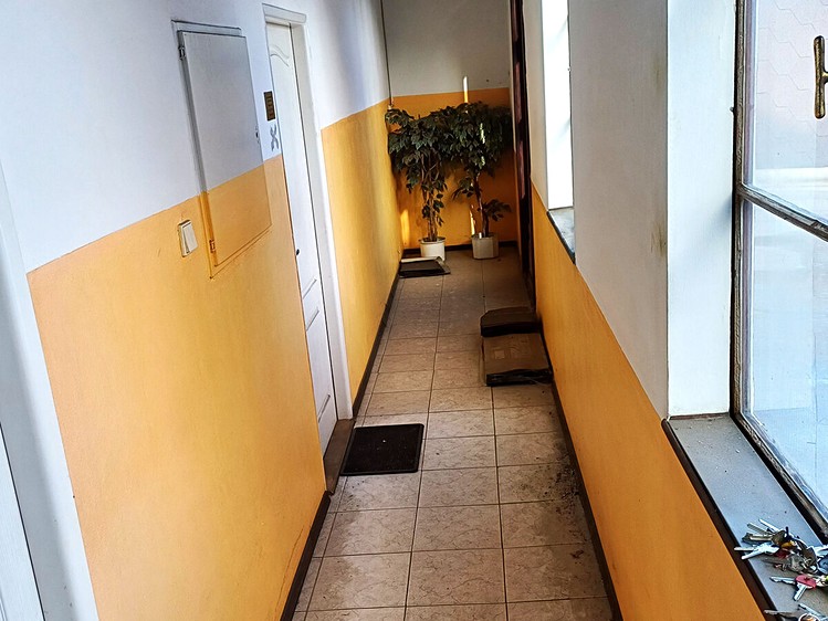 Pronájem komerčního prostoru, 100 m² (10 z 15)