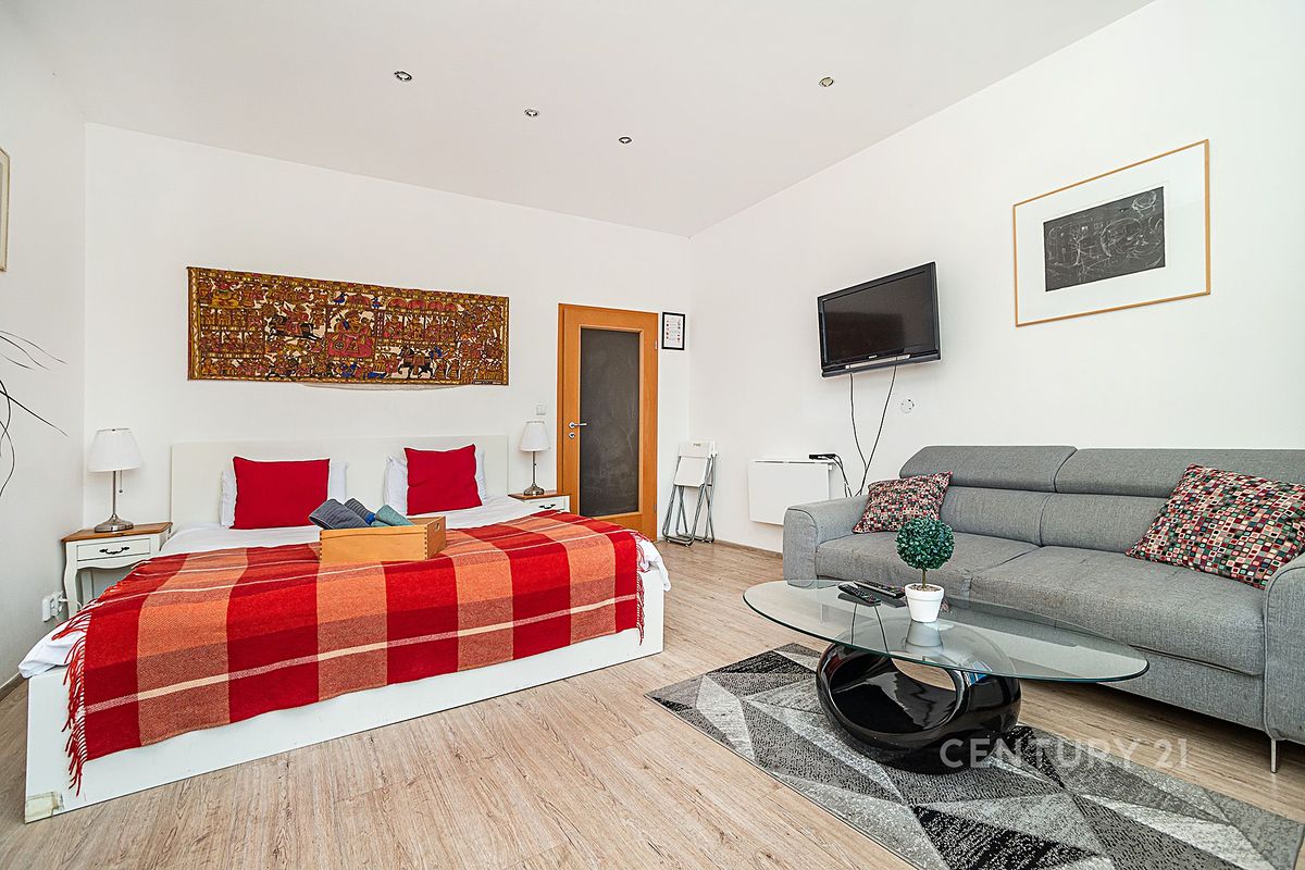 Pronájem bytu 1+1 30 m²