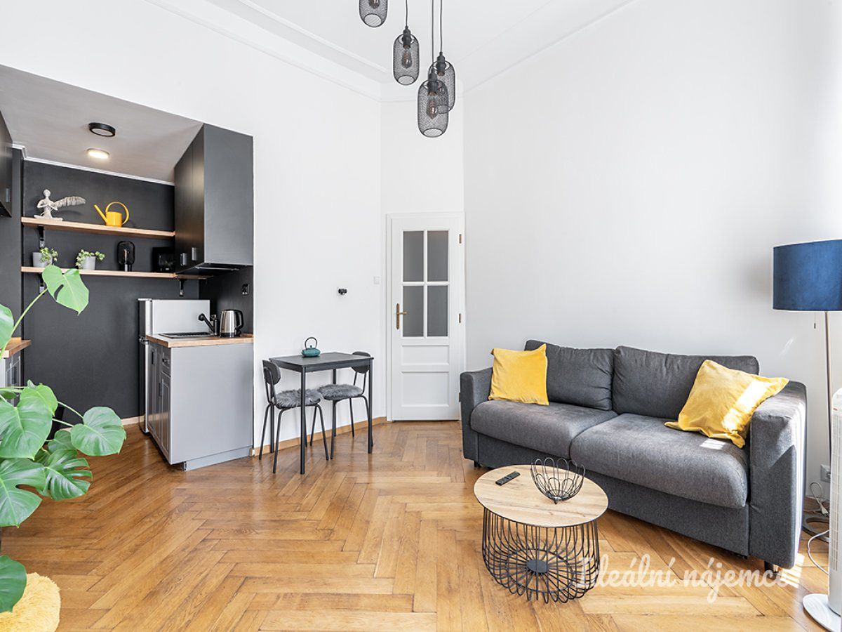 Pronájem bytu 2+kk 33 m² – fotografie 4