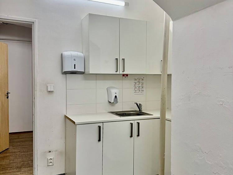 Gewerbefläche zur Miete, 520 m² (4 von 23)