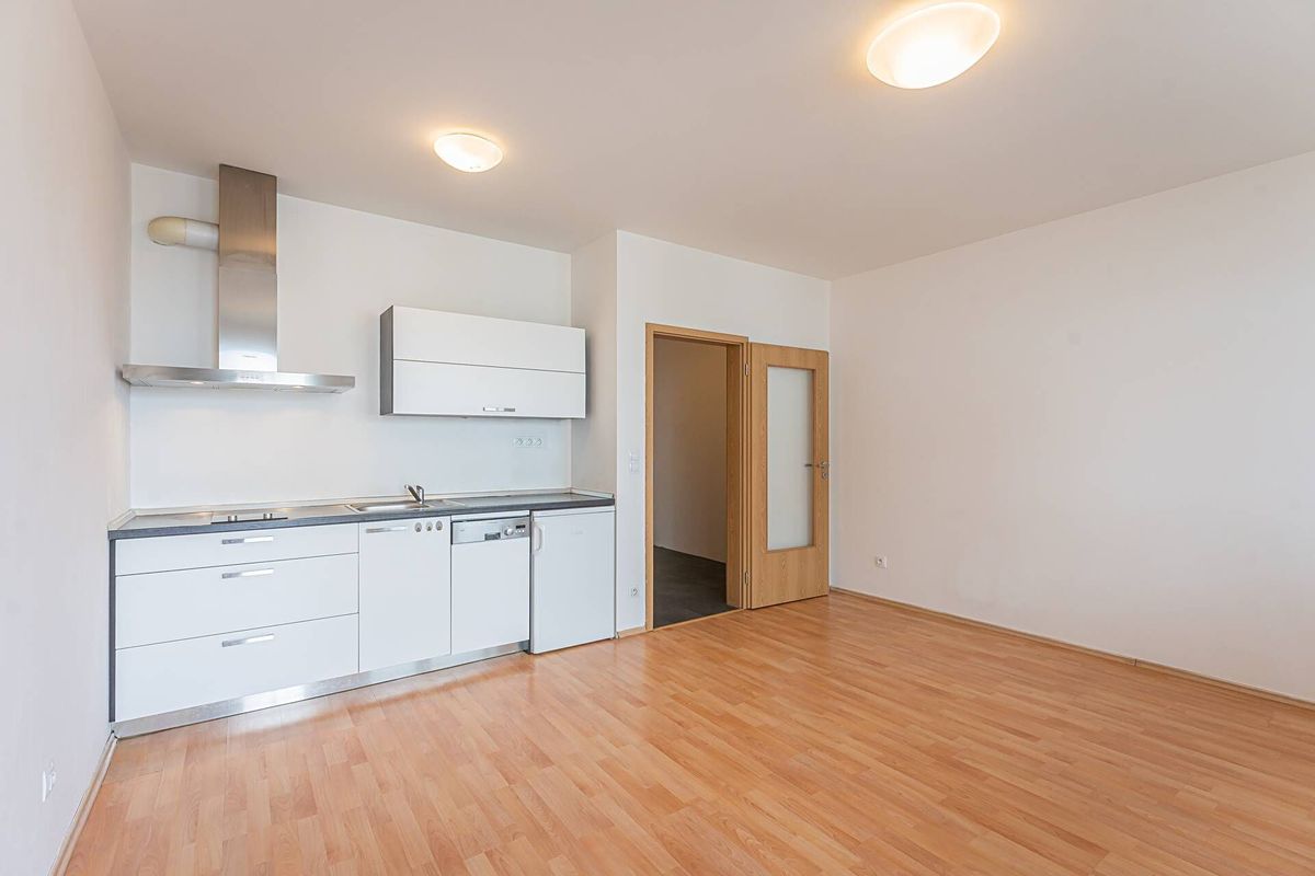 Pronájem bytu 1+kk 40 m² – fotografie 2